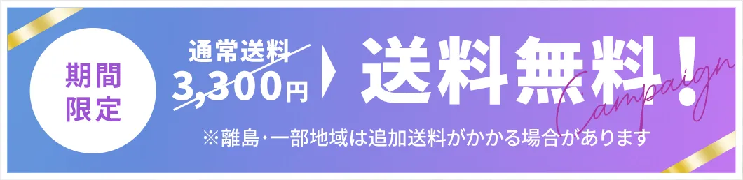 期間限定送料無料