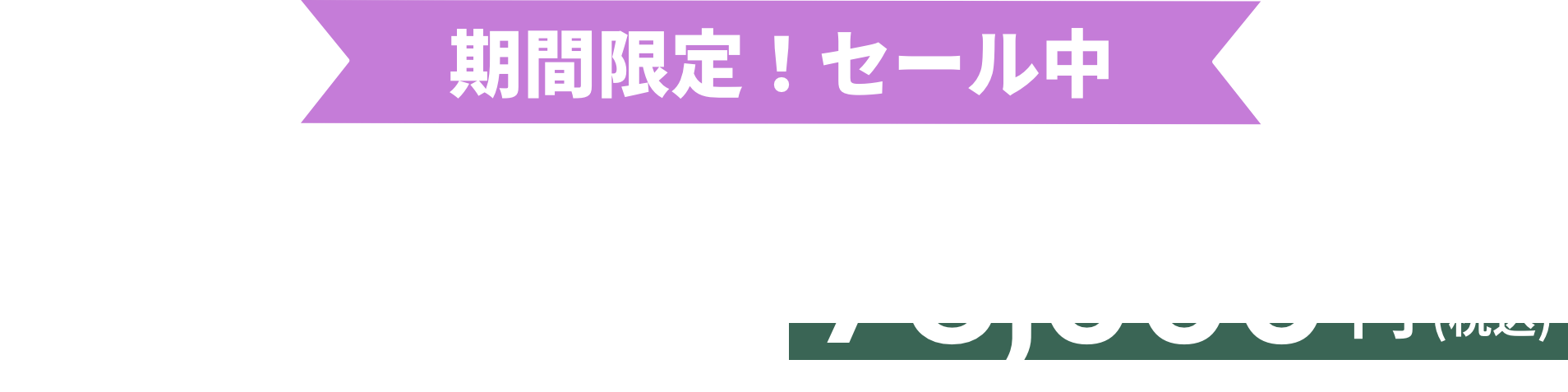 期間限定！セール中 今だけ73,000円 (税込)
