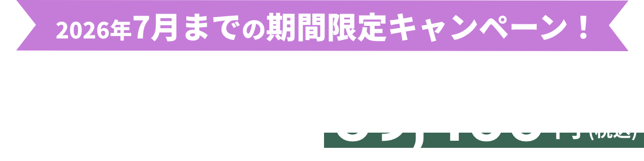 期間限定!セール中 今だけ59,400円 (税込)