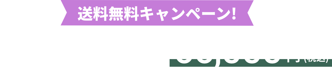 送料無料キャンペーン66,000円(税込)